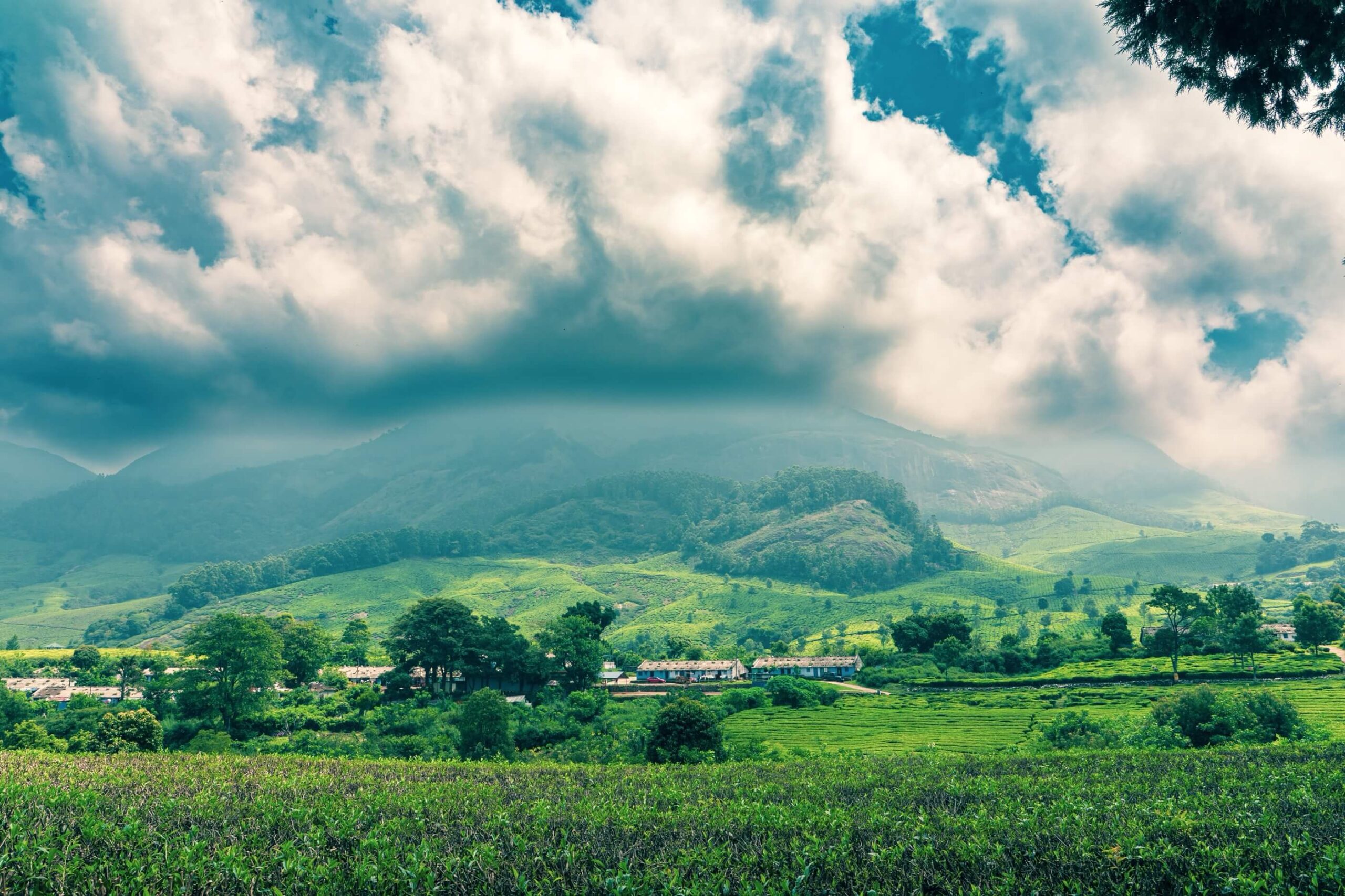 Trademark Registration in Assam