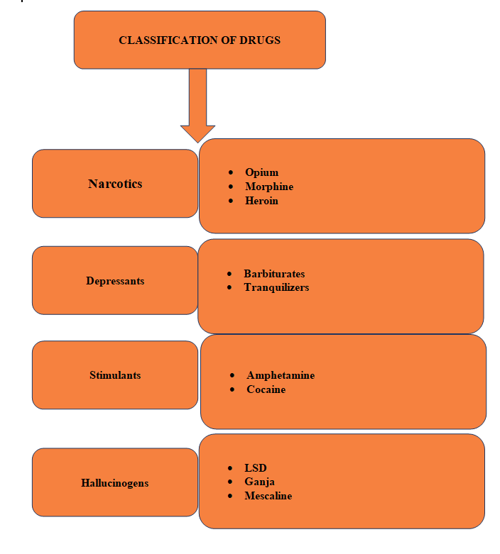 Understanding the NDPS Act 1985: India's Stance on Narcotics Control 1 image13 1